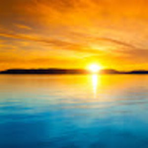 Meet your Posher, Brit